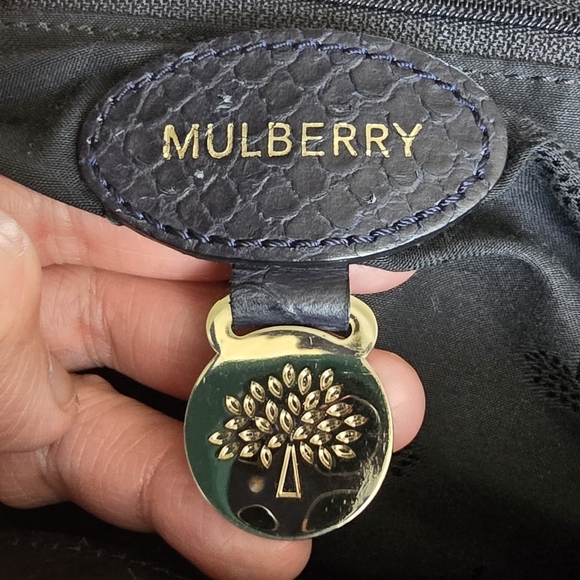 Mulberry Silky Snake Alexa Medium Size - Picture 13 of 13